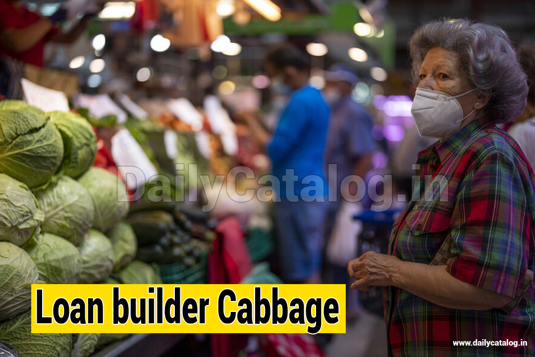 Loan builder Cabbage
